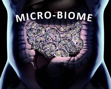 Vücudun içindeki bağırsaklar ince bağırsaklarda bağırsak bakterisi gösteriyor. 3B illüstrasyon.