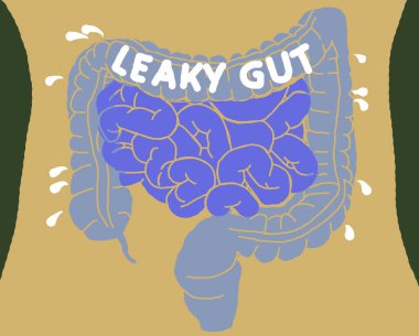 Vücudun içindeki bağırsaklar ince bağırsaklarda bağırsak bakterisi gösteriyor. 3B illüstrasyon.