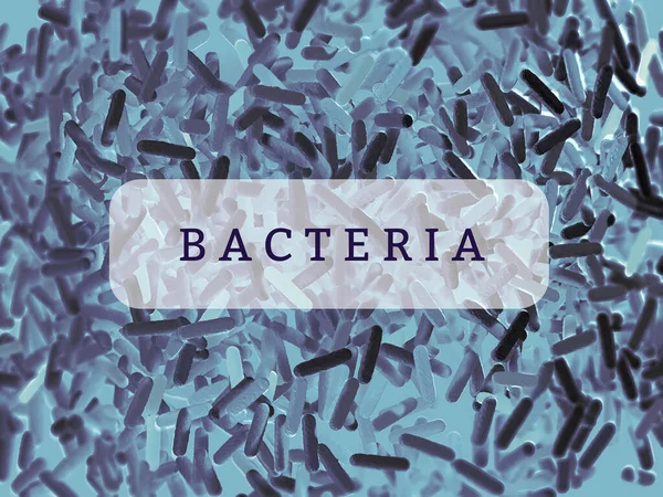 Mikrobiyomuzun Bakterileri Bağırsak Bakterisinin Mikroskobik Görüntüsü Illüstrasyon — Stok fotoğraf