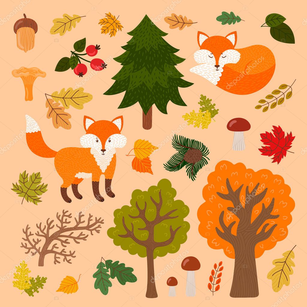 Cute foxes in the forest. Vector set can be used in postcards, posters, skrapbooking, invitations and the others.