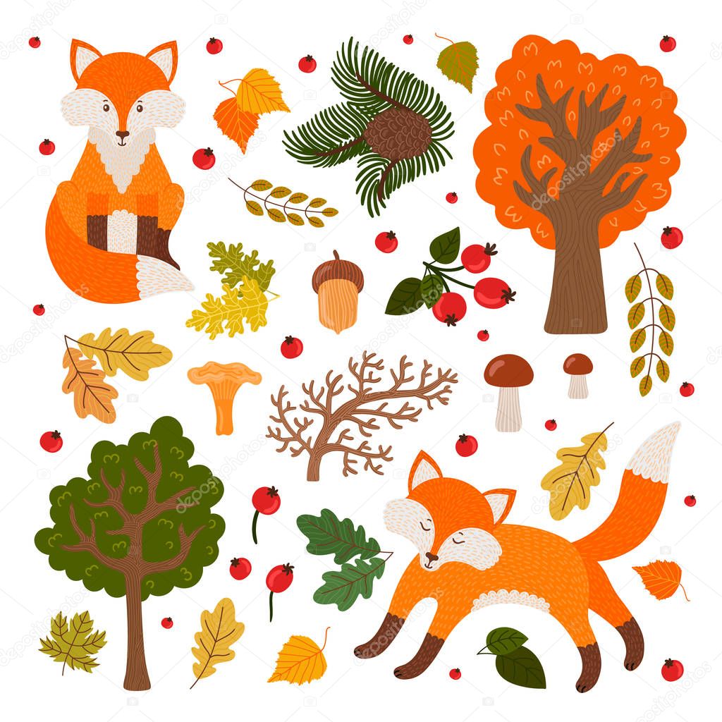 Cute foxes in the fores set of objects