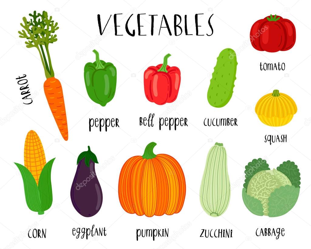Bright flat vegetables vector set.  Isolated cartoon vector illustrations