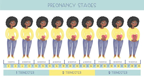 Zoete Zwangere Afro Amerikaanse Vrouw Stadia Van Zwangerschap Ontwikkeling Van — Stockvector