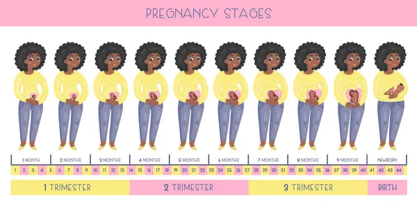 Süße Schwangere Afroamerikanerin Die Stadien Der Schwangerschaft Die Entwicklung Des — Stockvektor