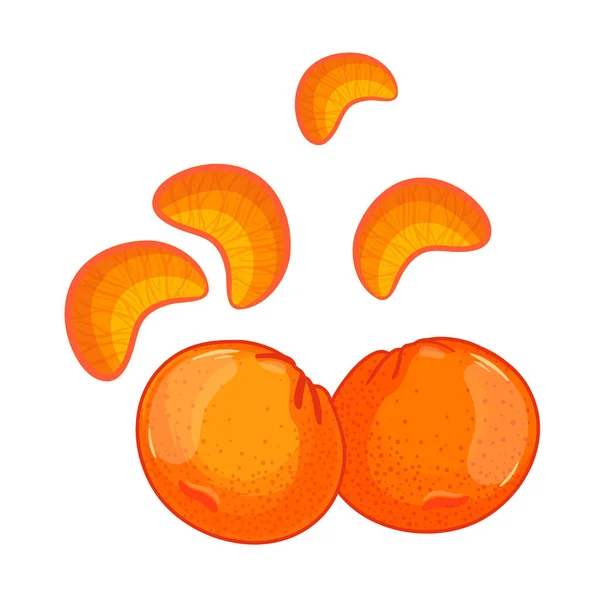 Mandarim, tangerina, clementina isolada sobre fundo branco . — Vetor de Stock