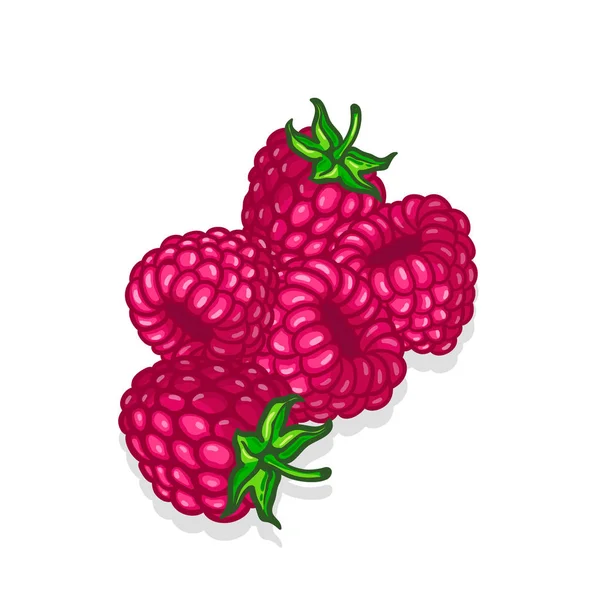 Juicy bright realistic raspberries with leaves — Stock Vector