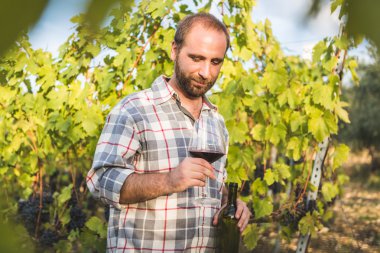 Adam şişe şarap tatmaya açıldı