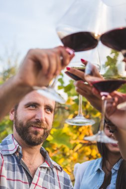 Bir grup insan bardak şarap ile kızartma