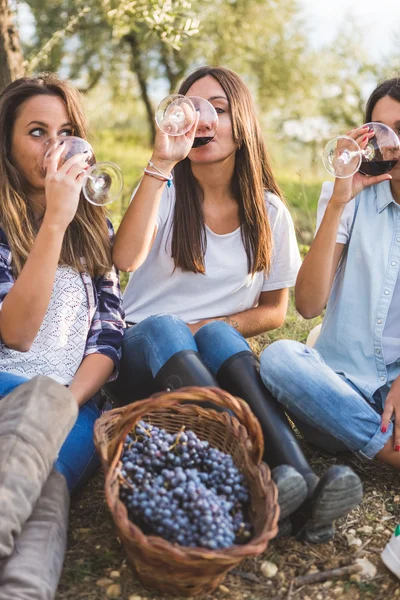 Meninas bebendo vinho tinto no jardim — Fotografia de Stock