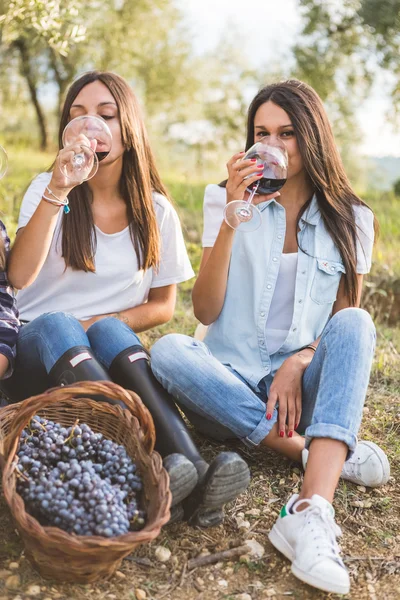 Meninas degustação de vinho no jardim — Fotografia de Stock