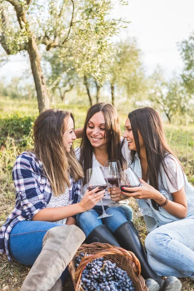 Meninas bebendo vinho no jardim — Fotografia de Stock