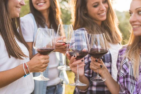 Leende flickor grillas med rött vin — Stockfoto