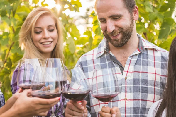 Par med vänner smaka vin på vingård — Stockfoto