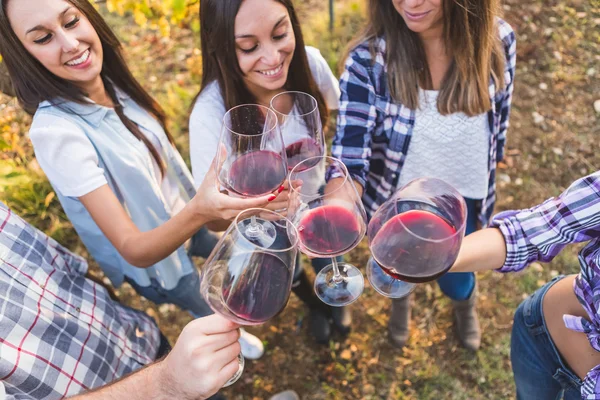 Vänner står i cirkeln och skåla med vin — Stockfoto