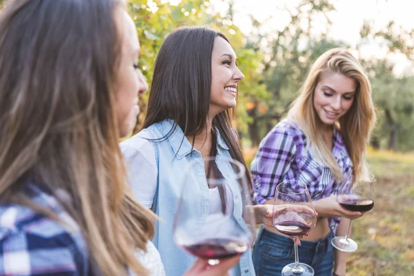 Women drinking red wine in the garden — Stock Photo, Image