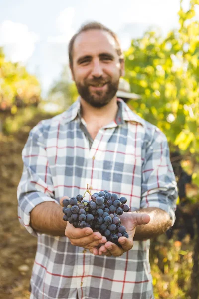 Hombre sosteniendo uva fresca en palmas — Foto de Stock
