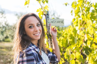 Girl pointing on Sangiovese sign in vineyard  clipart