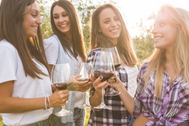 Kırmızı şarap ile Toasting kızlar