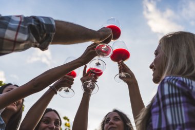 şarap ile toasting arkadaşlar 