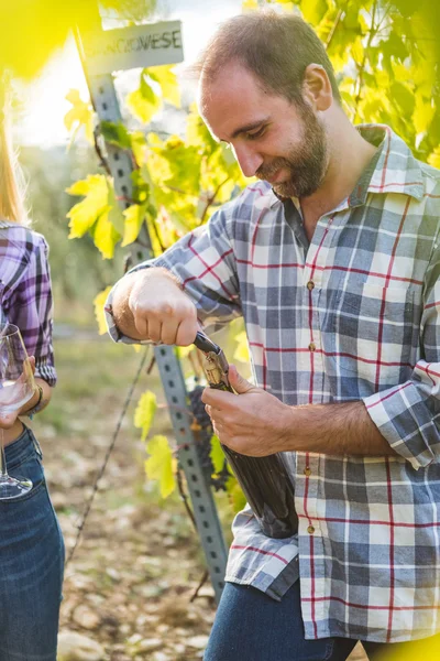 Man Opening Bottle of Wine in Vineyard — Stock Photo, Image