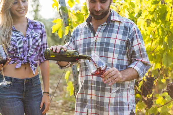 Par som provar vin i vingården — Stockfoto