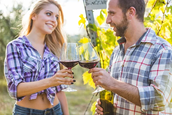 Casal beber vinho no jardim — Fotografia de Stock