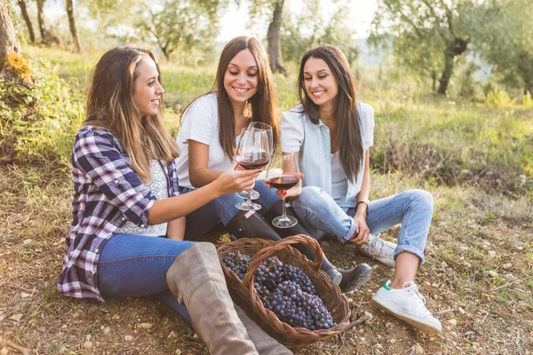 Mulheres brindam com vinho no jardim — Fotografia de Stock