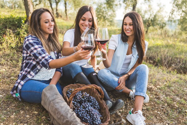 Женщины тосты с вином в саду
 