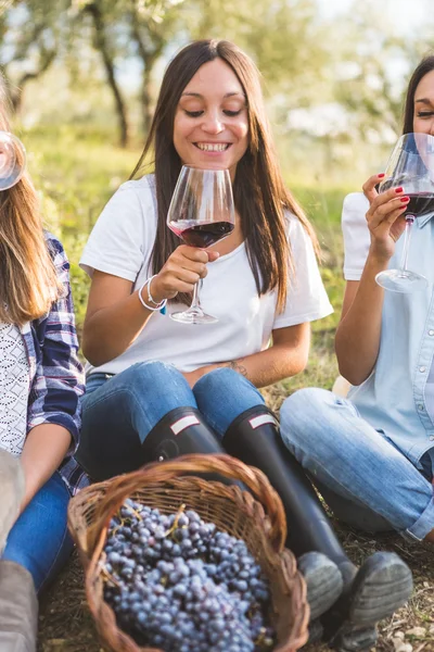 Meninas bebendo vinho no jardim — Fotografia de Stock