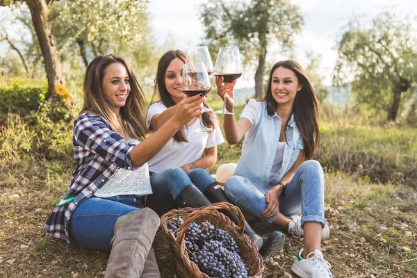 Vrouwen roosteren met wijn in de tuin — Stockfoto