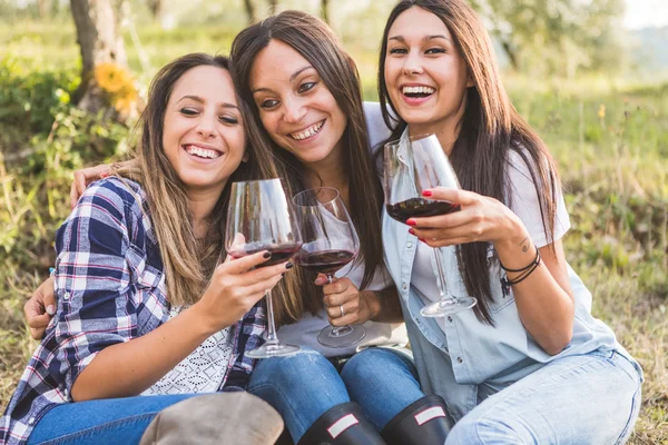 Kobiety, picie wina w ogrodzie — Zdjęcie stockowe
