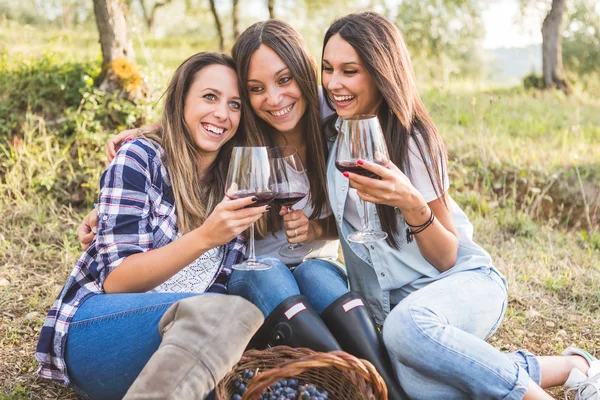 Meisjes drinken van wijn in de tuin — Stockfoto