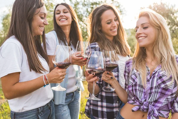 Mulheres torradas com vinho tinto — Fotografia de Stock