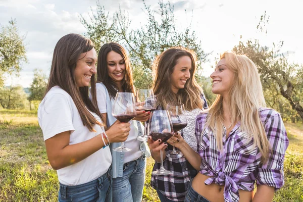 Dziewczyny, opiekania z czerwonego wina — Zdjęcie stockowe