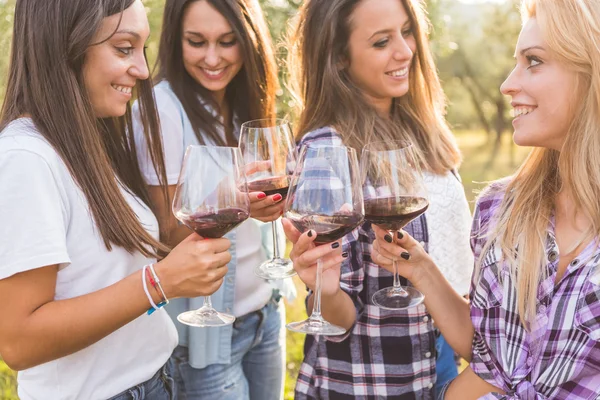 Vrouwen roosteren met rode wijn — Stockfoto