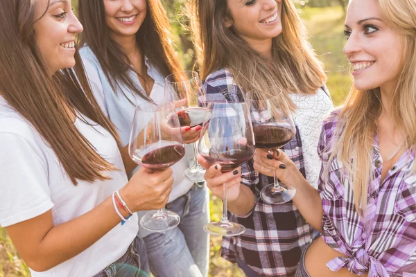 Девушки тосты с красным вином — стоковое фото