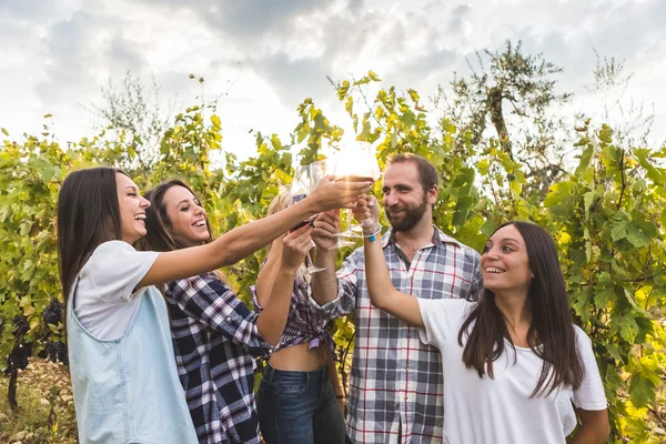 Amigos brindam com vinho em uma vinha — Fotografia de Stock