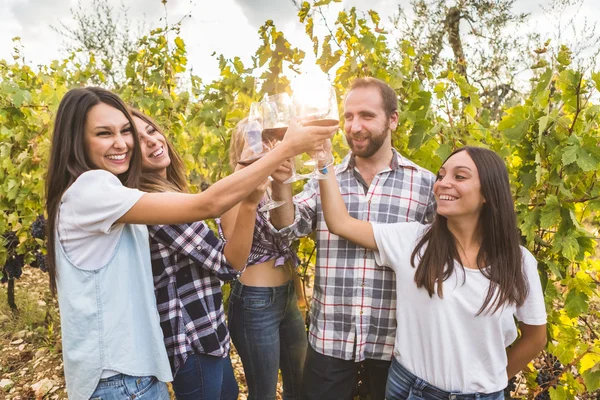 Amici che brindano con il vino in un vigneto — Foto Stock