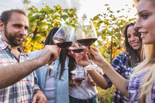 Par med vänner smaka vin på vingård — Stockfoto