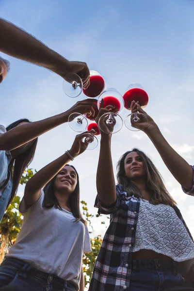 Friends toasting with wine — Stock Photo, Image