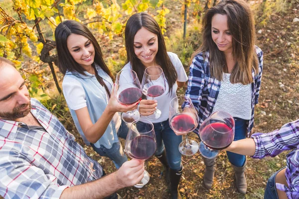 Amici brindare con il vino — Foto Stock