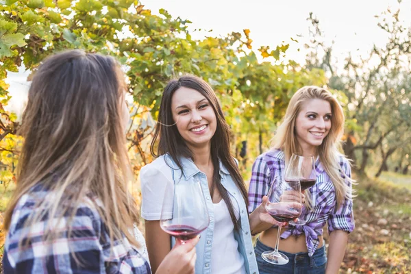 Women drinking red wine in the garden — Stock Photo, Image