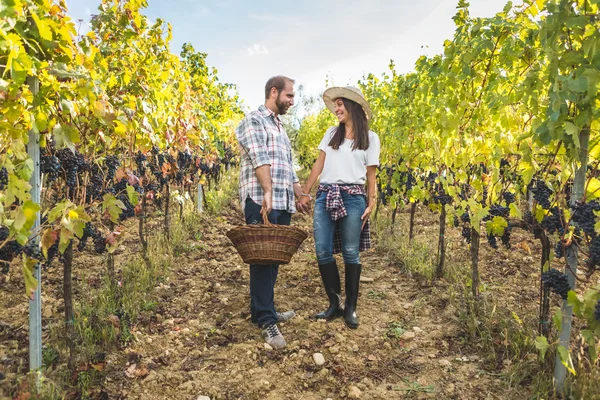 Couple walking with basket of grapes — Stock Photo, Image