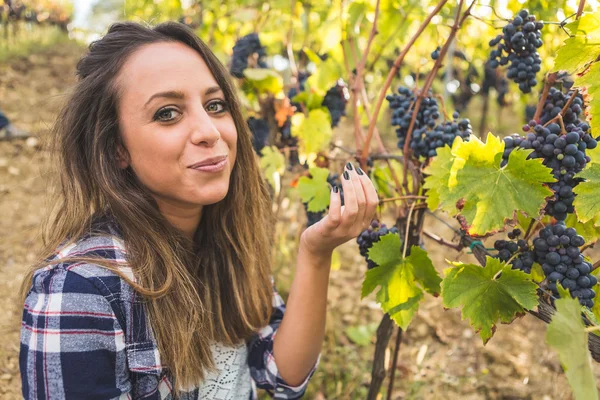Mujer comiendo uva de viñedo — Foto de Stock