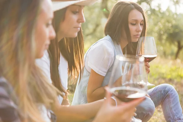 Fiatal barátok ivás vörösbor — Stock Fotó