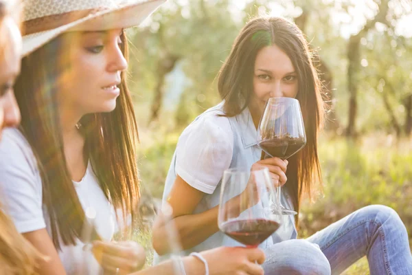 Young friends drinking red wine — Stock Photo, Image