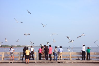 Turistler zevk izlerken ve besleme birds Bang Pu deniz kenarında