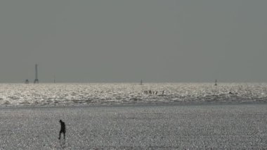 deniz hayvanları yakalamak için balıkçı mudflats üzerinde yürüme