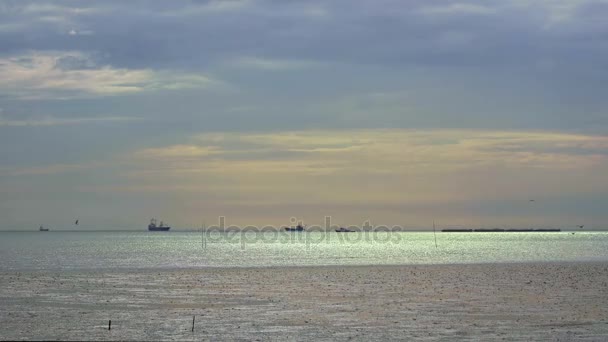 Birds fly at gulf of Thailand at sunset — Stock Video