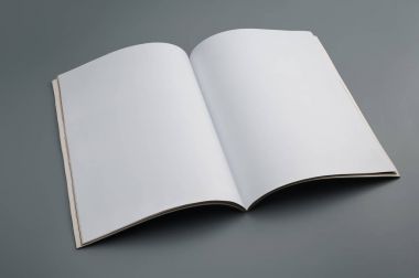 Aptal dergi gri arka plan üzerinde kullanılan.